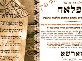Raw Pinchas bar Zwi-Hirsch Halevy Hurwitz (Baal Haflaa)