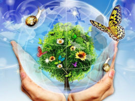 Erhaltung von pflanzlichem und tierischem Leben