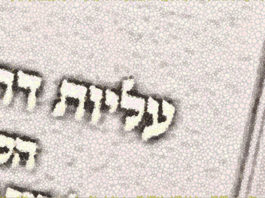 Halachot