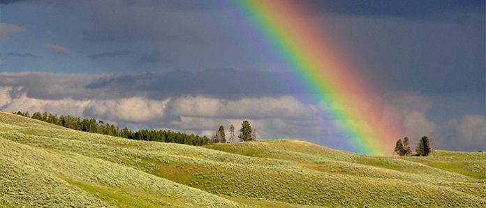 Regenbogen